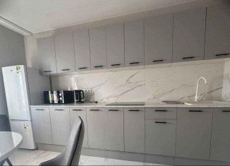 Сдача в аренду 1-комнатной квартиры, 38 м2, Москва, 5-я улица Соколиной Горы, 27