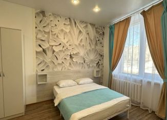 Продам однокомнатную квартиру, 25.3 м2, Архангельская область, улица Федота Шубина, 44к2