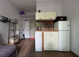 Продам квартиру студию, 12.3 м2, Москва, 1-я улица Энтузиастов, 12А, метро Авиамоторная