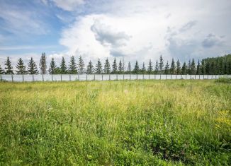 Участок на продажу, 8 сот., деревня Бердь