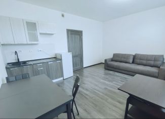 Продажа квартиры студии, 27.4 м2, Санкт-Петербург, метро Комендантский проспект, Планерная улица, 95к1