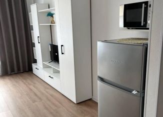 Сдаю квартиру студию, 25.3 м2, Котельники