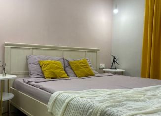 Однокомнатная квартира в аренду, 40 м2, Удмуртия, проспект Конструктора М.Т. Калашникова, 21