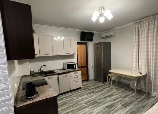 Однокомнатная квартира в аренду, 50 м2, Сочи, улица Молокова, 42А, микрорайон Черемушки