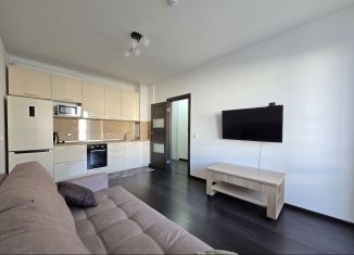 Сдача в аренду 1-ком. квартиры, 35.4 м2, Санкт-Петербург, проспект Будённого, 21к1, Красносельский район