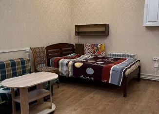 Сдается в аренду квартира студия, 30 м2, Люберцы, улица Михельсона, 66