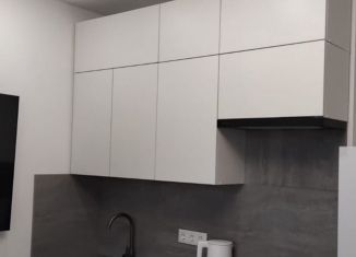 Сдается в аренду квартира студия, 29 м2, Апрелевка, Ясная улица, 1