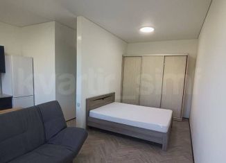 Сдача в аренду квартиры студии, 30 м2, Крым, улица Озенбаш, 10