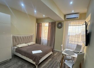 Сдам квартиру студию, 45 м2, Сочи, Первомайская улица, 1, микрорайон Центральный