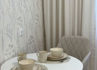 Сдается однокомнатная квартира, 37 м2, Татарстан, улица Маршала Чуйкова, 33