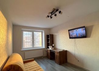 Сдача в аренду однокомнатной квартиры, 35 м2, Санкт-Петербург, Пискарёвский проспект, 25к2