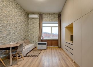 Продаю квартиру студию, 26 м2, Москва, 2-я улица Энтузиастов, 5к39, метро Авиамоторная