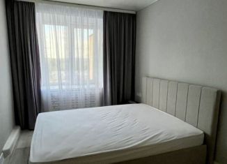 Сдам в аренду 2-ком. квартиру, 46 м2, Татарстан, Центральная улица, 19