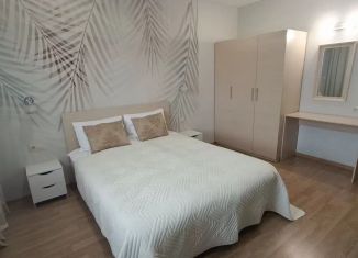 Сдача в аренду двухкомнатной квартиры, 60 м2, Татарстан, улица Адоратского, 4А