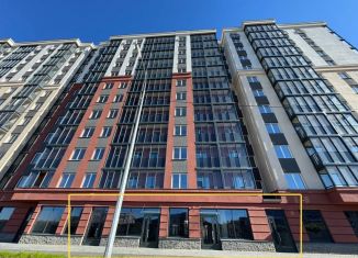 Сдам в аренду торговую площадь, 243.19 м2, Ленинградская область, Романовская улица, 4