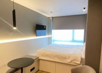 Продается квартира студия, 18.7 м2, Санкт-Петербург, муниципальный округ Волковское, улица Салова, 61