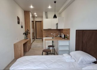 Продажа квартиры студии, 21.8 м2, Татарстан, улица Толстого, 41