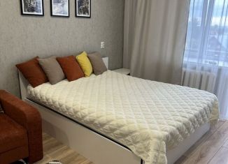 Сдается в аренду однокомнатная квартира, 45 м2, Татарстан, Магаданская улица