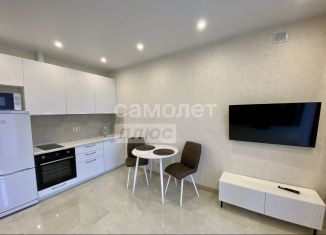 Сдается в аренду 1-ком. квартира, 38 м2, Новосибирск, улица Дуси Ковальчук, 248/1, ЖК Заельцовский