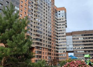 Сдается однокомнатная квартира, 38.9 м2, Новосибирск, Октябрьский район, 2-я Обская улица, 154