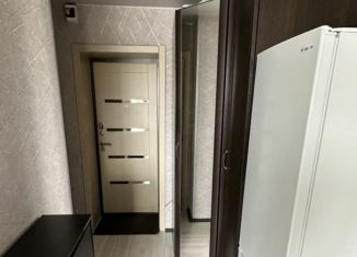 Продам квартиру студию, 18 м2, Екатеринбург, Машинная улица, 42к1, Октябрьский район