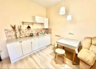 Сдается квартира студия, 33 м2, городской посёлок Янино-1, Кольцевая улица, 8к1