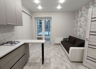 Сдается в аренду 1-ком. квартира, 41.6 м2, Арзамас, 12-й микрорайон, 3