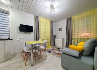 Сдам в аренду квартиру студию, 32 м2, Выборг, улица Мира, 19