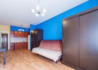 Сдача в аренду квартиры студии, 26 м2, Санкт-Петербург, Пулковская улица, 8к4