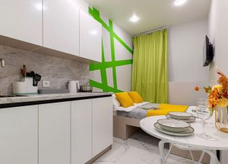 Квартира в аренду студия, 14 м2, Санкт-Петербург, набережная Обводного канала, 132А