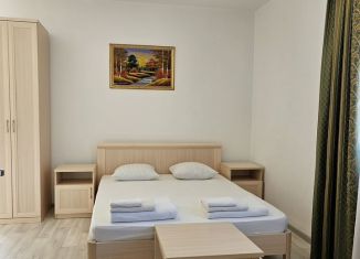 Сдам квартиру студию, 18 м2, Сочи, переулок Богдана Хмельницкого, 11А