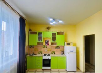 Продажа 1-ком. квартиры, 42.3 м2, рабочий поселок Маркова, микрорайон Берёзовый, 86