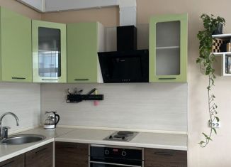 Продается квартира студия, 26 м2, Сертолово, Тихвинская улица, 8к4