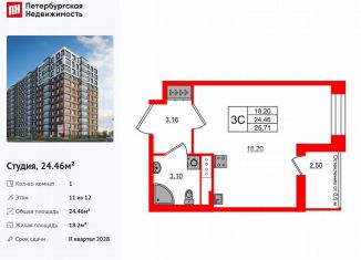 Продается квартира студия, 24.5 м2, Санкт-Петербург, муниципальный округ Невская Застава
