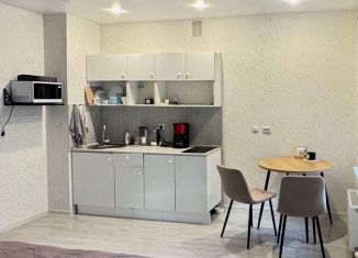 Сдам квартиру студию, 28 м2, Татарстан, улица Петра Гаврилова, 10