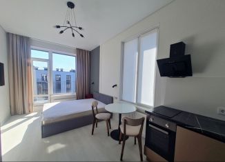 Квартира в аренду студия, 25 м2, Санкт-Петербург, Пулковское шоссе, 95к3