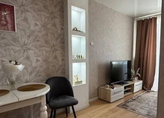 Продается квартира студия, 24.8 м2, Чита, улица Богомягкова, 2к3