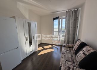 Продаю квартиру студию, 25 м2, Санкт-Петербург, метро Комендантский проспект, Торфяная дорога, 17к2