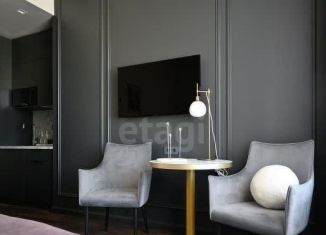 Сдам квартиру студию, 24 м2, Санкт-Петербург, Подъездной переулок, 13