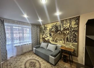 1-комнатная квартира на продажу, 20.8 м2, Пенза, Ульяновская улица, 23