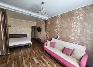 Сдаю в аренду однокомнатную квартиру, 45 м2, Саратов, Весенний проезд, 8