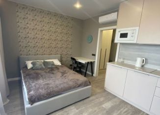 Сдача в аренду квартиры студии, 40 м2, Новосибирск, Ипподромская улица, 12, Октябрьский район