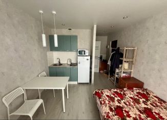 Продажа квартиры студии, 18 м2, Татарстан