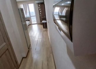 Квартира в аренду студия, 27 м2, Краснодар