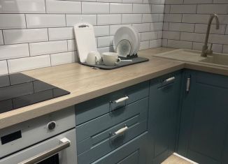 Сдача в аренду 1-комнатной квартиры, 37 м2, Пермь, улица Пушкина, 109