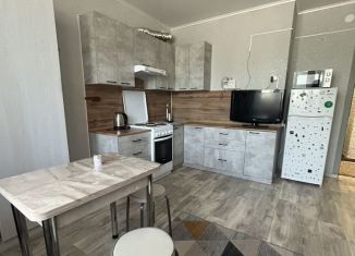 Сдается в аренду квартира студия, 22.5 м2, Республика Башкортостан, улица 50 лет Октября, 18