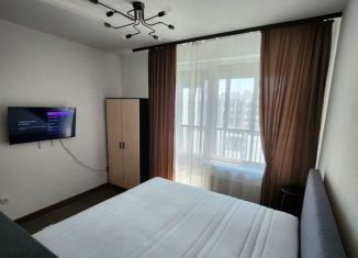 Сдам в аренду квартиру студию, 30 м2, Санкт-Петербург, Ультрамариновая улица, 10, ЖК Пульс на Набережной