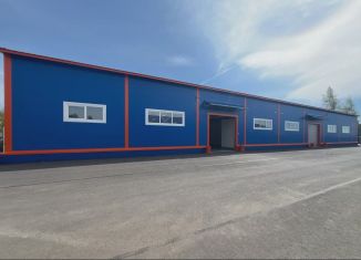 Сдается в аренду производство, 295 м2, Ленинградская область, посёлок Тельмана, 60
