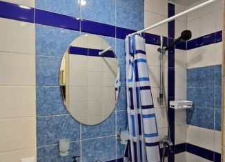 Сдам в аренду квартиру студию, 18 м2, Санкт-Петербург, набережная реки Фонтанки, 80/2