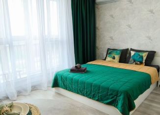 Сдаю квартиру студию, 28 м2, Ростов-на-Дону, улица Ерёменко, 114/1с1